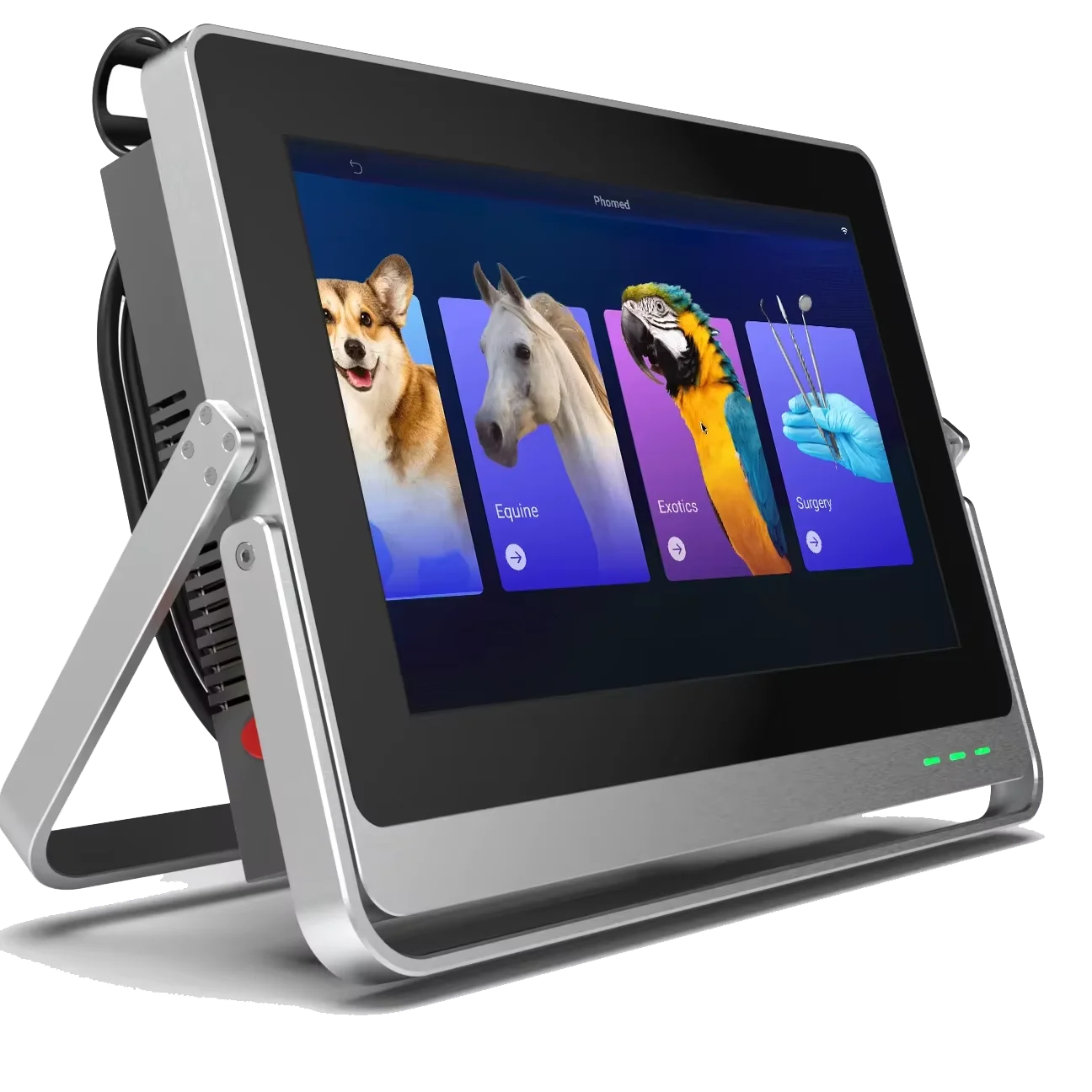 

Diode 980nm 60w Class IV Physiotherapy Veterinary Therapeutic Equipment