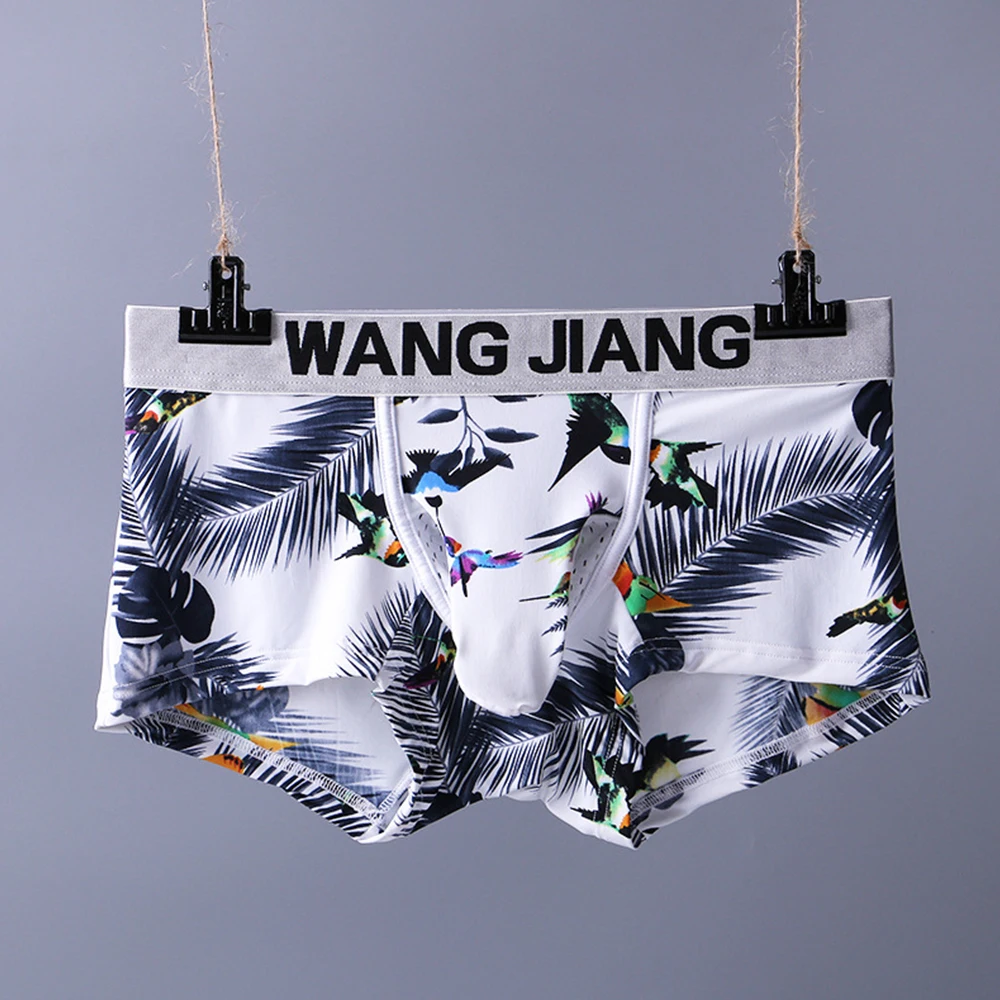 Mens Sexy Printed Briefs Seamless Underwear Bulge Pouch Underpants Comfortable Shorts Trunks Ultra Thin Lingerie