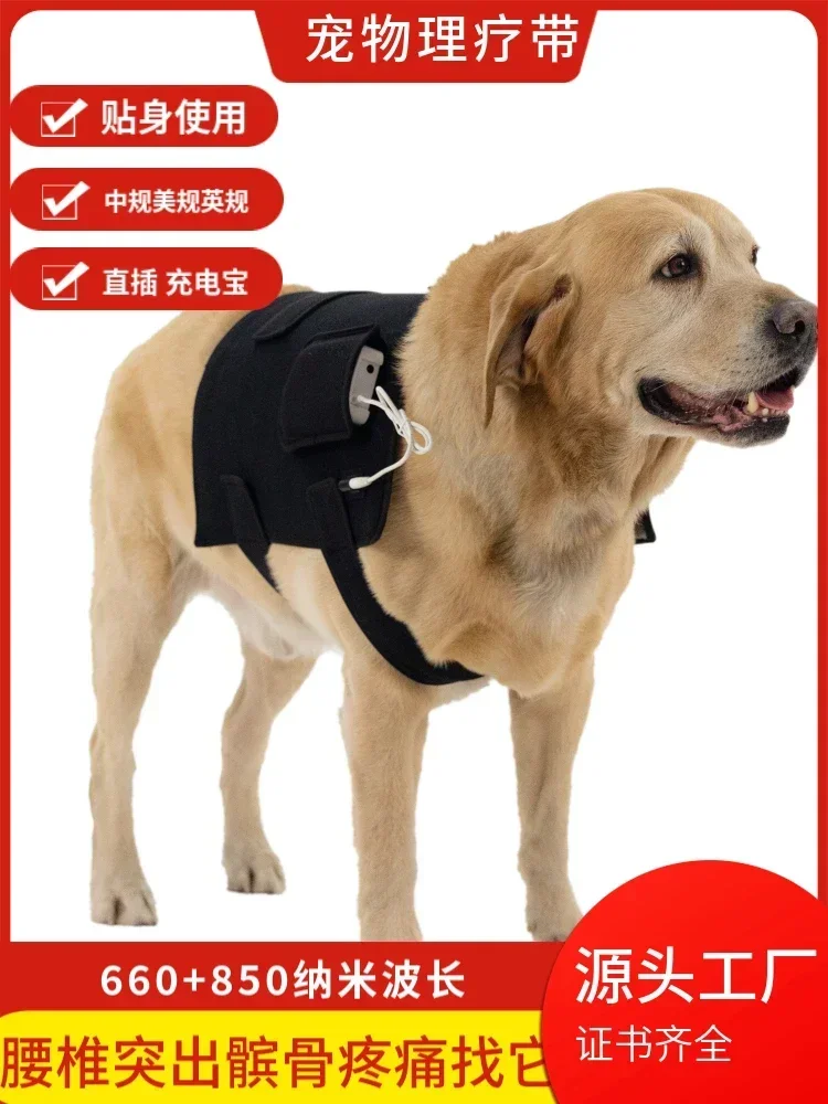 Pet infrared infrared light physiotherapy belt bone spur patella fracture lumbar spine hip joint cervical spine  phototherapy