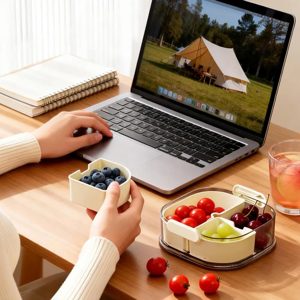 Multi-tier Lunch Box Leak-proof Fruit Storage Box with Multi-layer Food Container Partitioned Lunchbox for Kitchen Outdoor