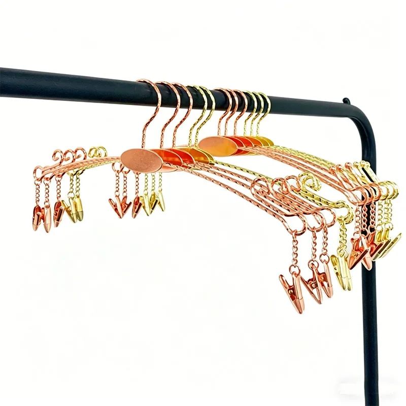 

10PCS Metal Lingerie Hanger Non-Slip Bra Rack Store Special Display Hanger Twisted Wire Underwear Panties Clip for Shop Display