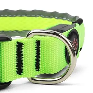 LED-Hundehalsband, USB-aufladbar, leuchtendes Haustierhalsband, leuchtendes, verstellbares, weiches Sicherheitshalsband für kleine und mittelgroße Hunde – Detail 2