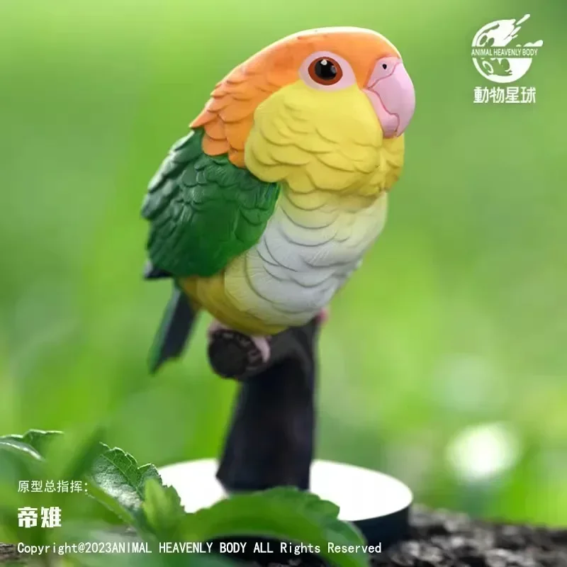 Animal L Augh And Grow Fat Series No.18 Parrot Model Psittaciformes Animal Gk Desktop Decora Collection Birthday Toy Gift