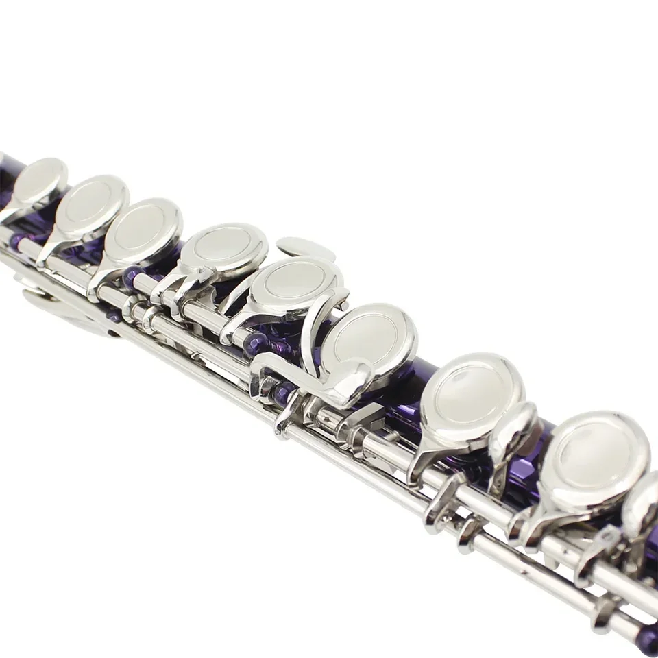 SLADE 16 Holes C Tone Flute With E Key Purple Professional