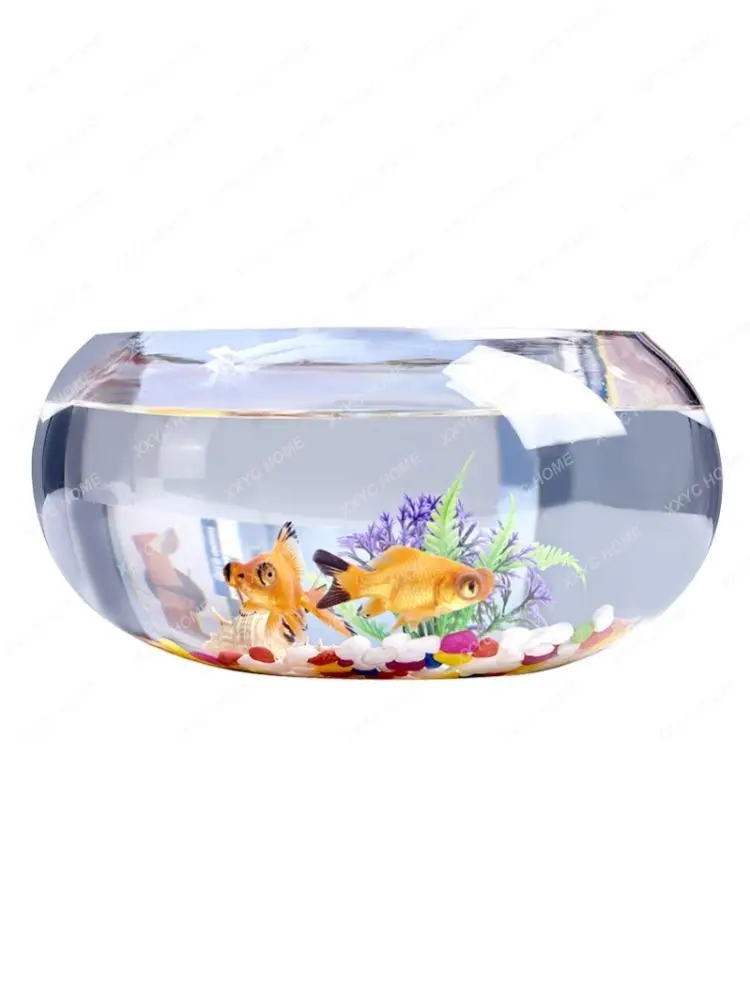 Thickened Transparent Glass Living Room Home Desktop round Office Mini Small Fish Globe