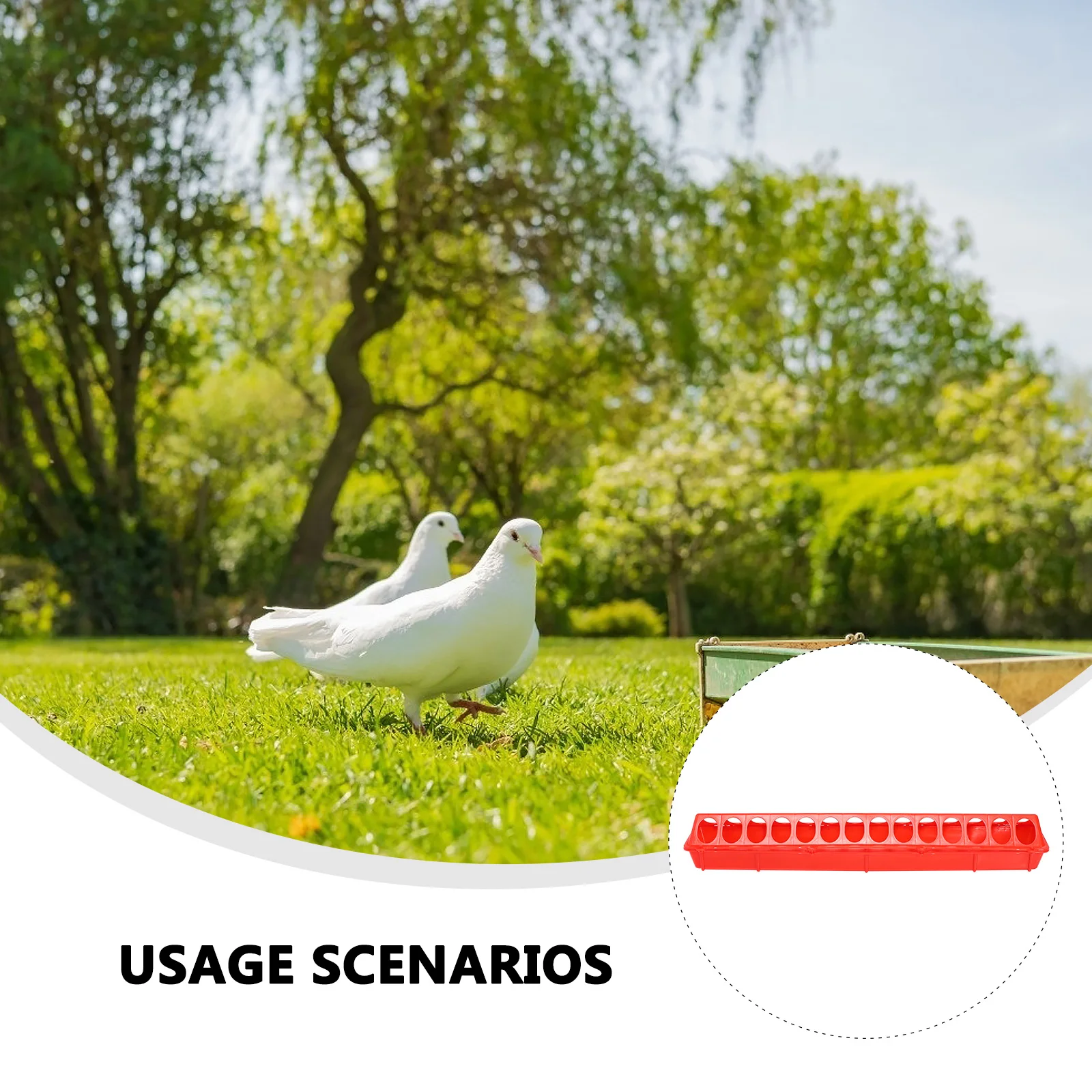 

2 pcs Chicken Food Dispensers Durable Anti-Splash Poultry Feeding Trough Easy Clean Long Groove For Chicken Duck Pigeon Feeding