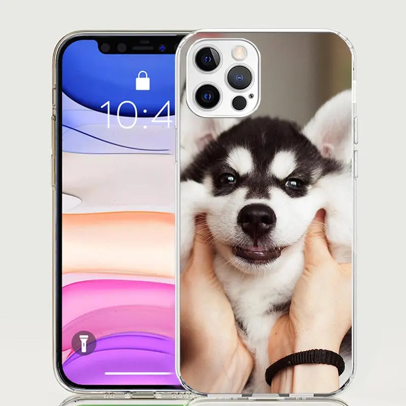 Siberian Husky Dog Phone Case For Apple Iphone 11 12 13 Mini 14 15 16 Pro Max 7 Plus X XS XR SE Art Customized Coque Capa