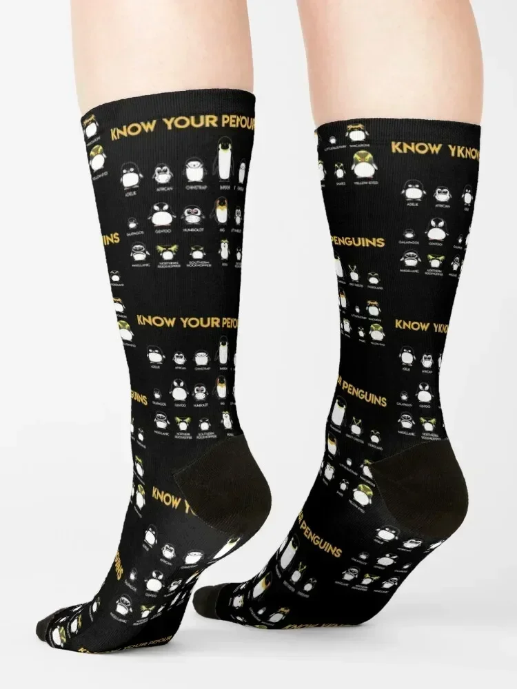 Penguin Species Know Your Penguins Gift Socks Crossfit set kawaii japanese fashion Luxury Woman Socks Men's