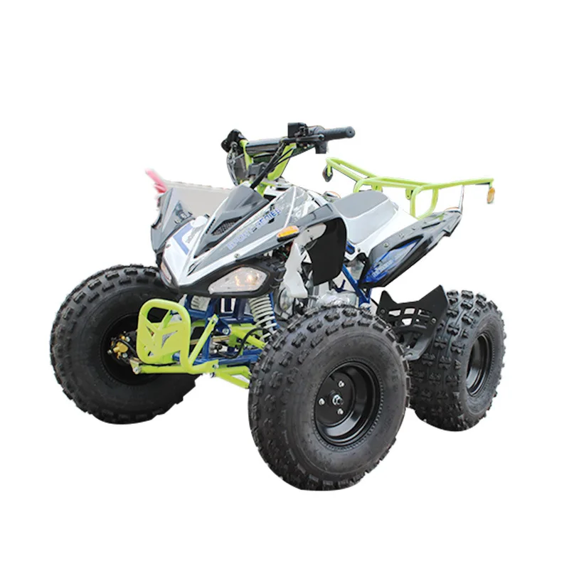 ATV 4x4 Motocross Small Mars Kart 125cc Fuel Motorcycle Drift Snowmobile