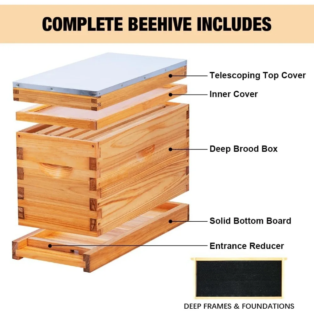 5 Frame Nuc Complete Bee Hive Kit Langstroth Beehive Box Dipped in Beeswax Include Beehive Frames and Waxed Foundation Sheets