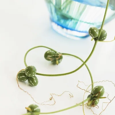 

Aluminum Alloy Upgrade Parts for Remo Hobby Smax 1/16 RC Car 1631 1635 1651 1655 Swing Arm Steering Group Cup Axle Mount C Seat