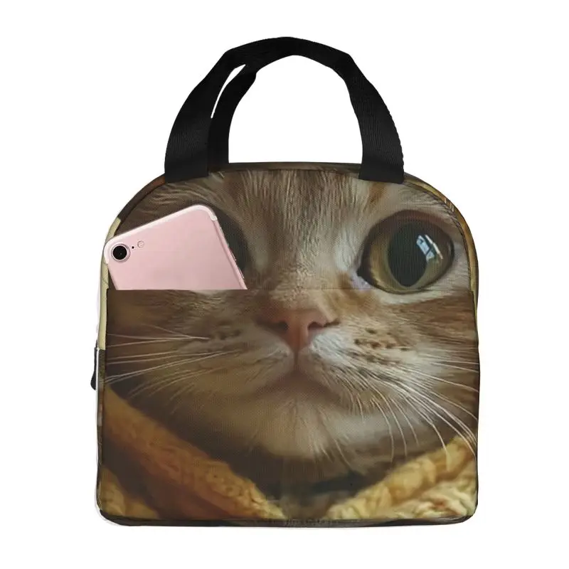 Custom Cute Cat Lunch Bag Men Women Cooler Warm Insulated Lunch Box for Camping Travel Food Picnic Tote Bags