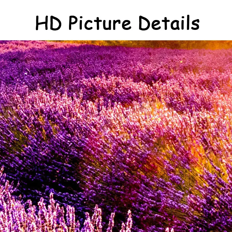 Modern Lavender Field Canvas Painting Purple Flowers Wall Pictures Sunset Landscape Posters and Prints for Living Room Decor