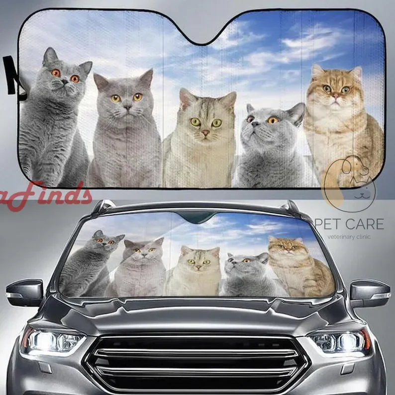 British Shorthair Car Auto Sun Shade Amazing Best Gift Ideas 2022