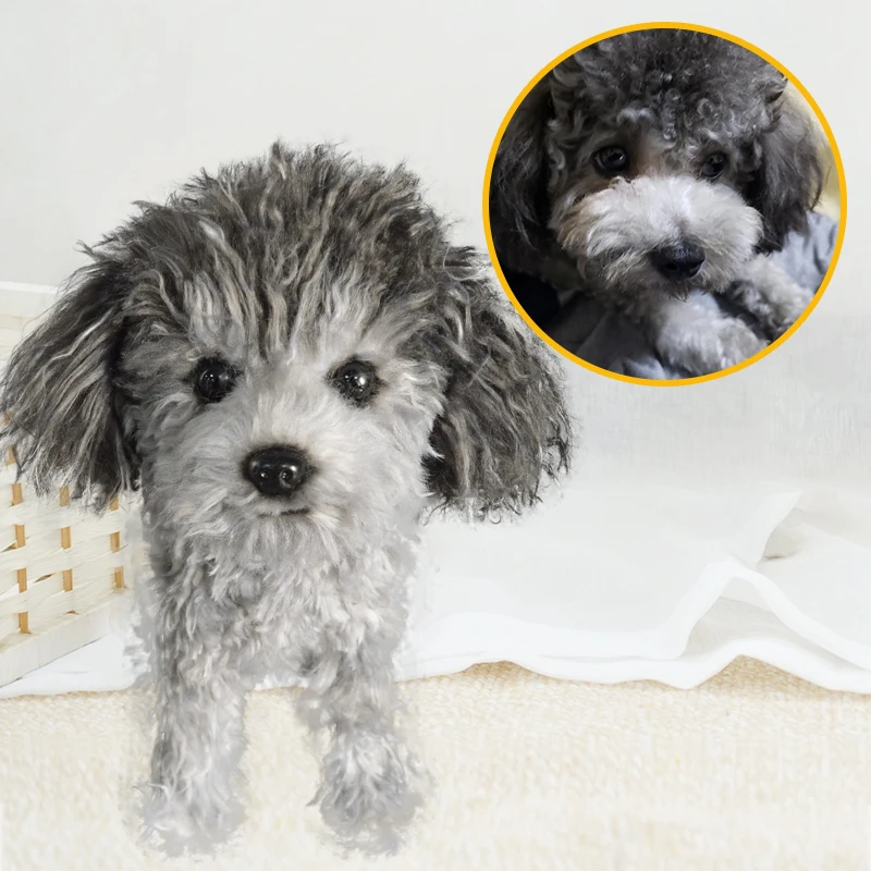 Dropshipping Gift Pet Commemorative Teddy VIP Exclusive Custom Handmade Simulated Cat and Dog Plush Toy Gift