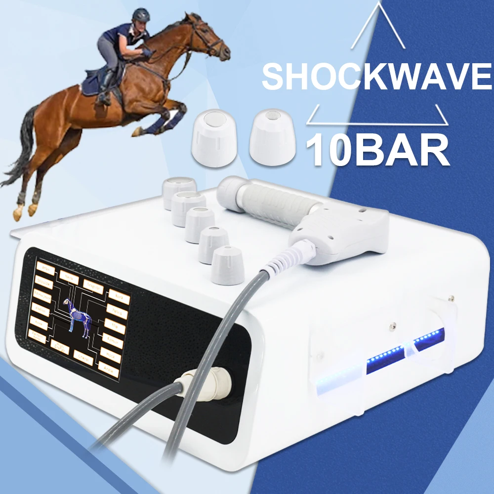 

10Bar Animals Shockwave Therapy Machine For Relieve Joint Pain Massage Relaxation Pneumatic Shock Wave Massager For Horse Use