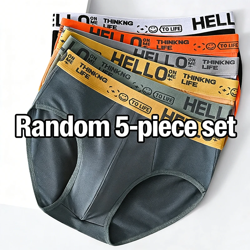 

Random 2/5pcs/set Men's Briefs Sexy Men Underpant Four Season Fashionable Men Panties Plus Size L-5XL Sports Boxer Shorts
