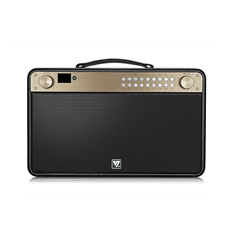 YYHC-Haut-parleur audio HiFi domestique, effet sonore DSP, microphone sans fil, haut-parleur Bluetooth portable pour la fête, Kara