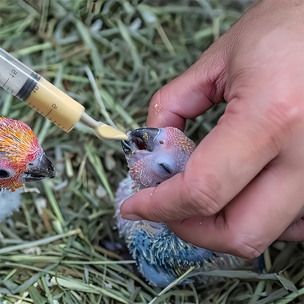 10/6/3 Stück Vogelfütterungslöffel, Papageien-Baby-Fütterungswerkzeug, manueller Tierfütterungslöffel, hauptsächlich zum Füttern von Flüssigfutter für Vögel verwendet. – Detail 6