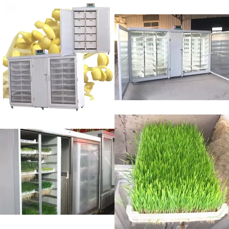 for Fully Automatic Bean Sprout Machine Barley Mung Bean Planting Tray Cattle Sheep Grass Feeding Device Automatic Sprouter