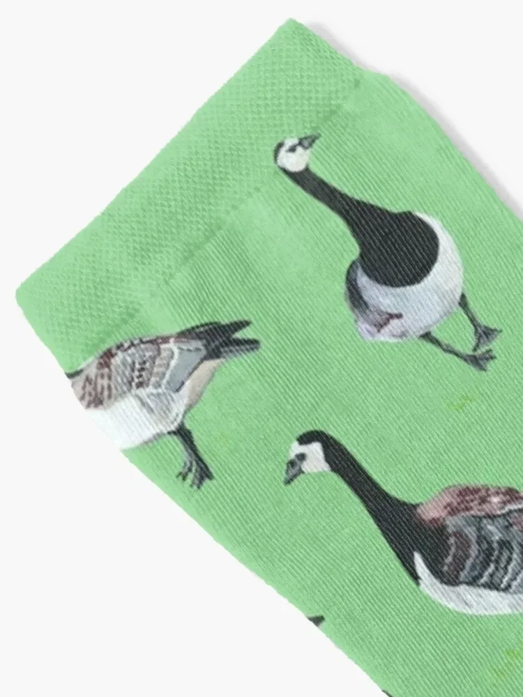 Barnacle Geese [mint] Socks sports stockings valentine gift ideas shoes ankle Men Socks Luxury Brand Women's