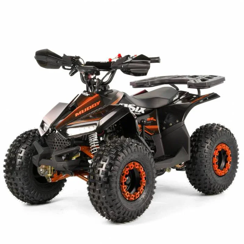 

2024 ATV 110 Cheap Four-wheeler 110cc Mini Quad Bike Kid Automatic with Reverse Farm ATV