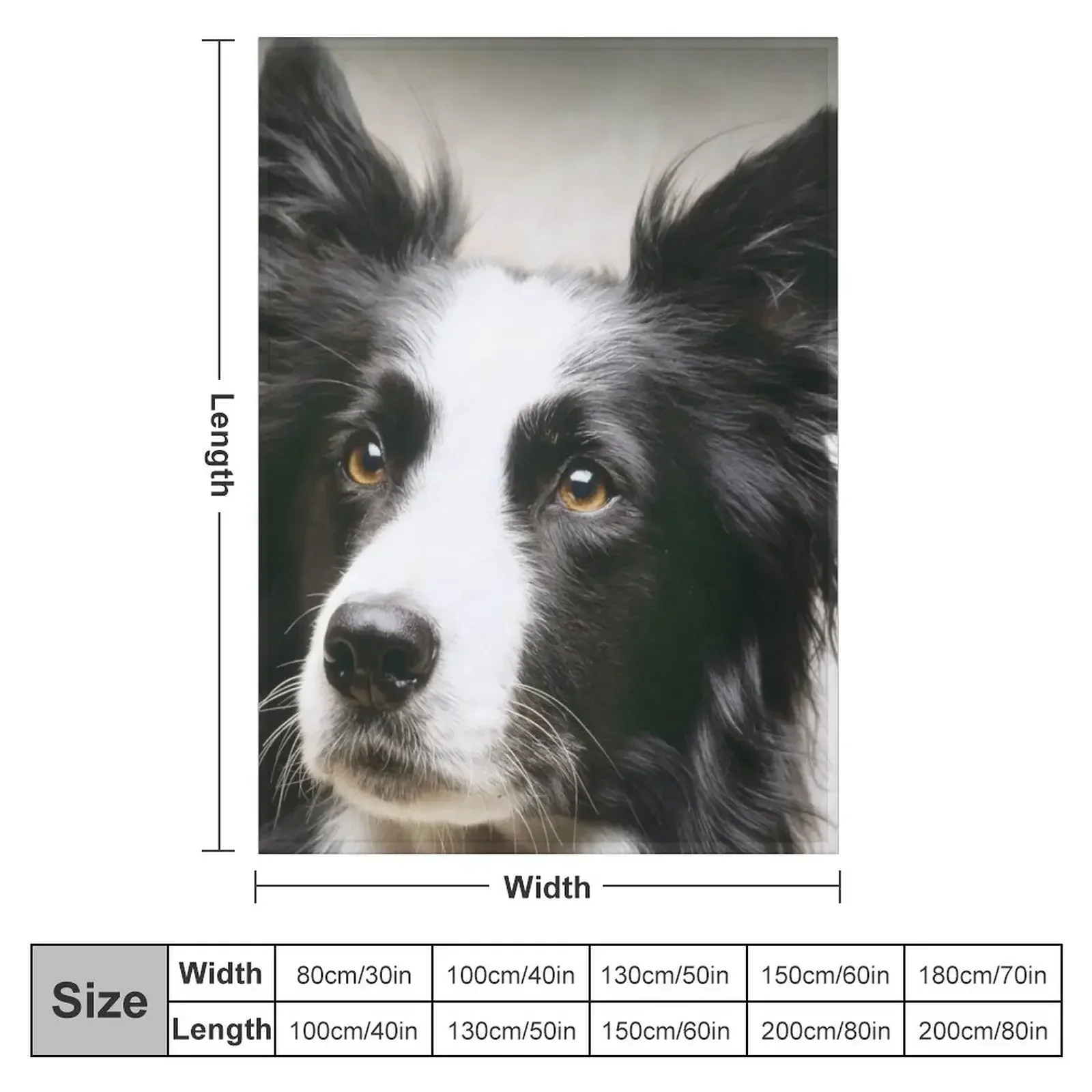 Working Border Collie Throw Blanket Large Thermal decorative Blankets