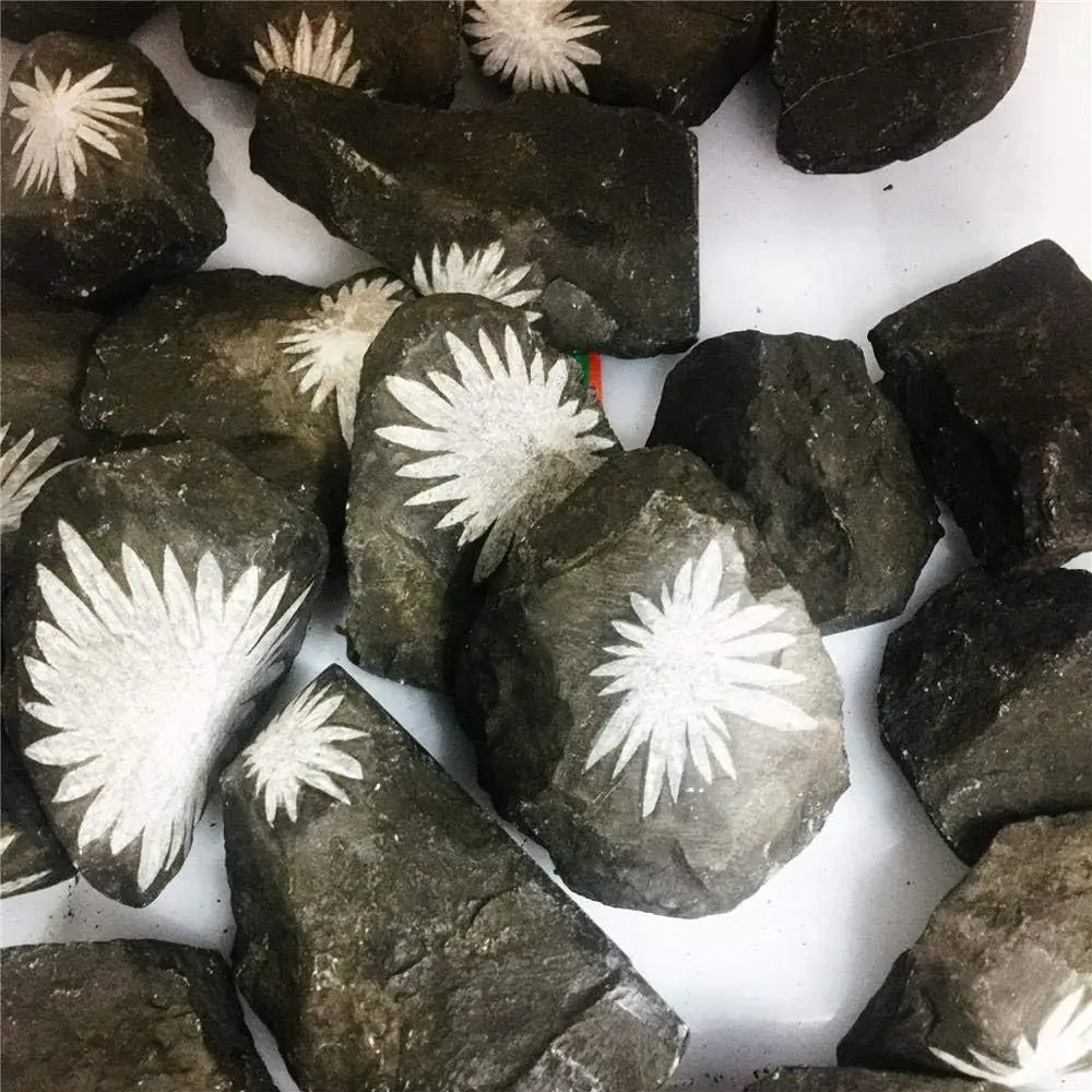 1pc Raw Chrysanthemum Stone Crystal Stone - Bohemian Mineral Specimen with Irregular Crystal Form for Tumbling, Polishing