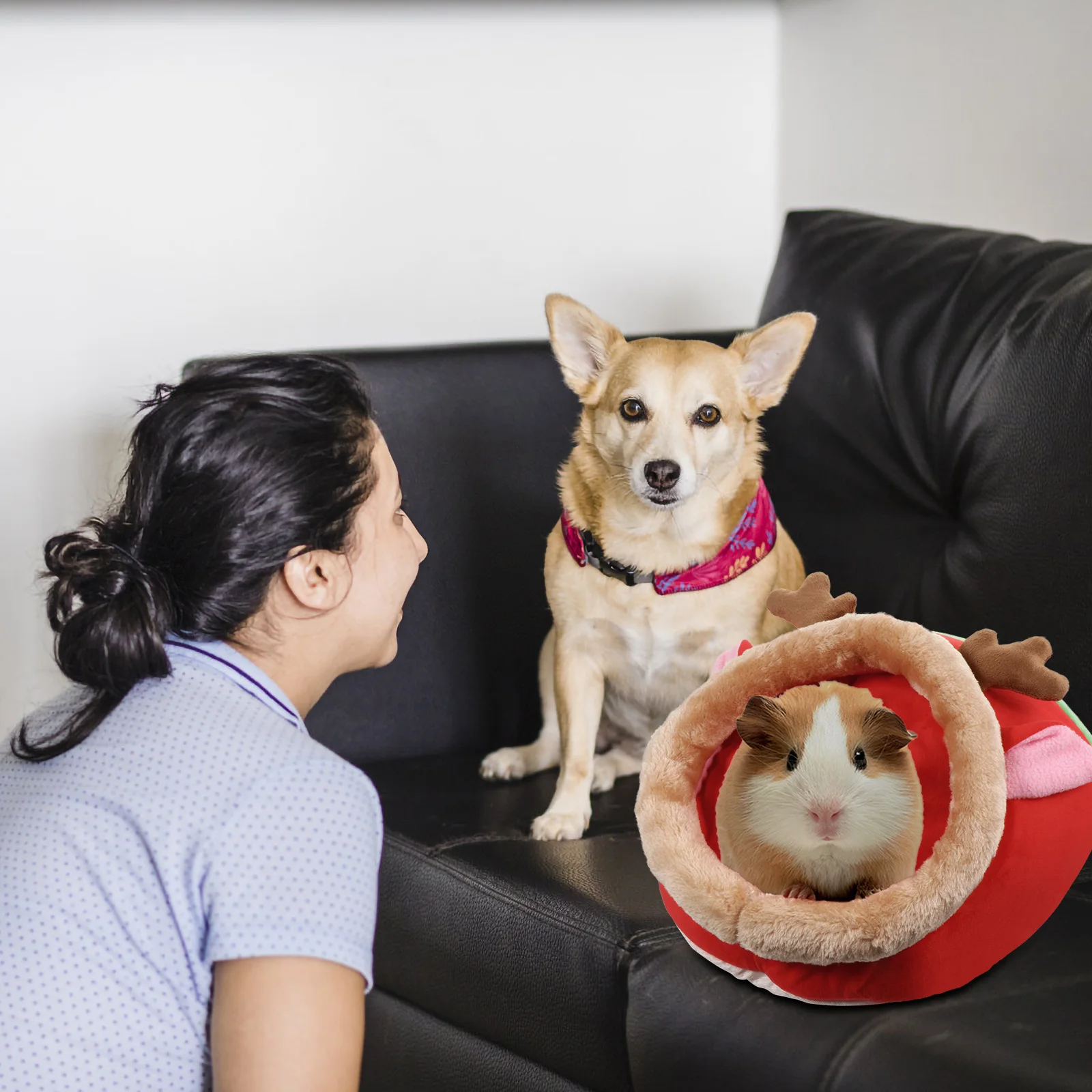 

Hamster House Mini Bed Small Pet Nest Cushion For Living Room Bedroom Hamster Kennel Bed Nest With Chew Scratch