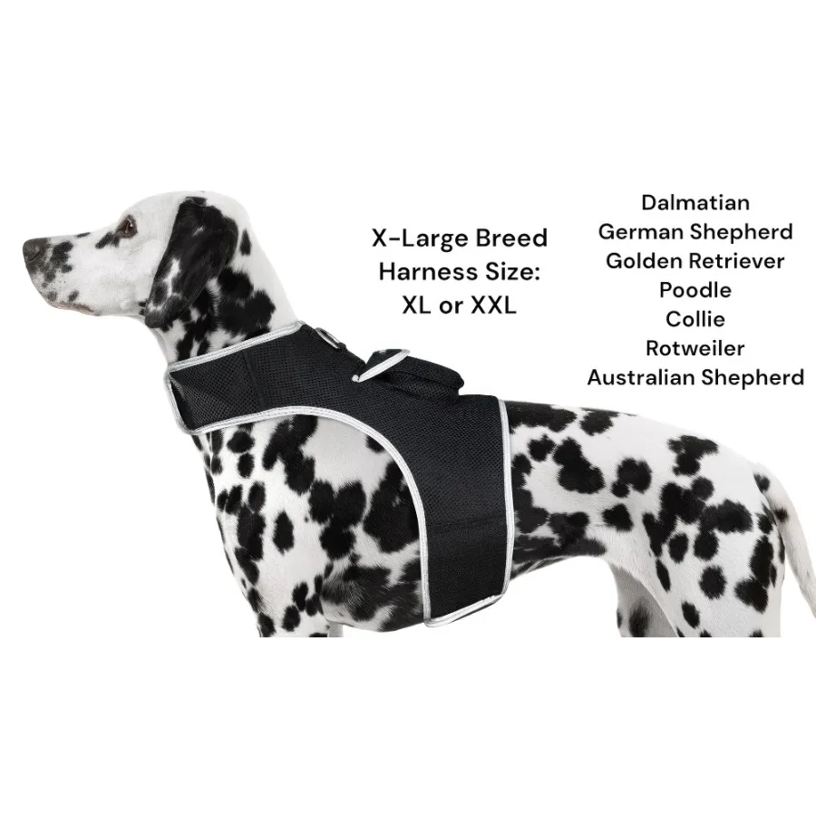 

PetTrack Portable Realtime GSM GPS Wireless Pet Tracker for Small Dogs Size:L