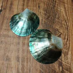 Black Mother of Pearl Shells Polished Pinctada Margarilifera Sea Shell Handmade Creative DIY Jewelry Beads Caviar Container