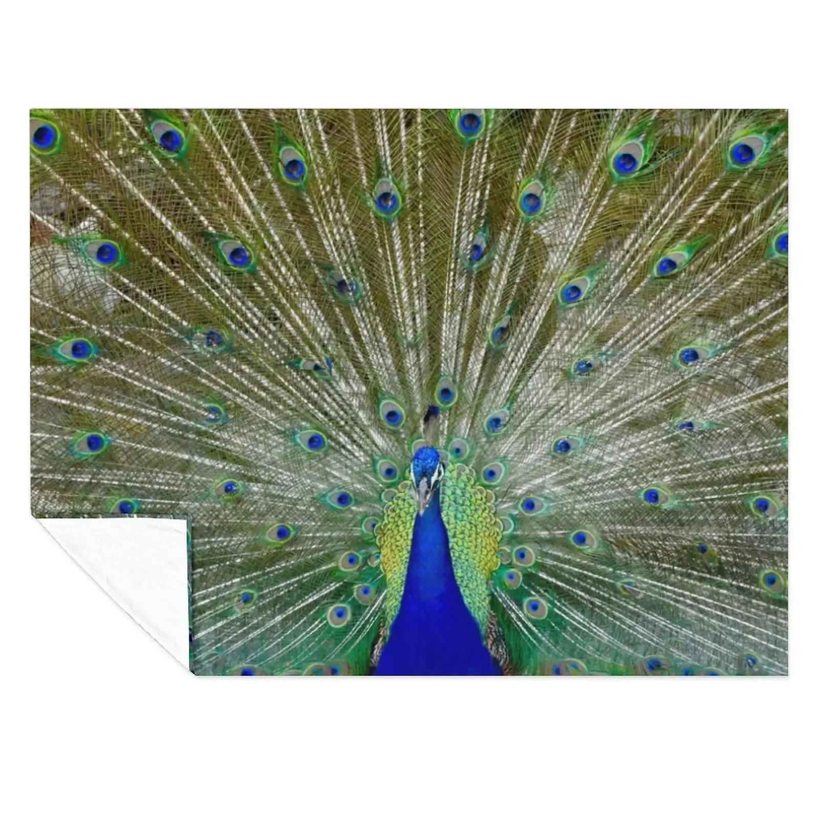 

Peacock Throw Blanket Warm sofa bed Decoratives warm for winter Blankets