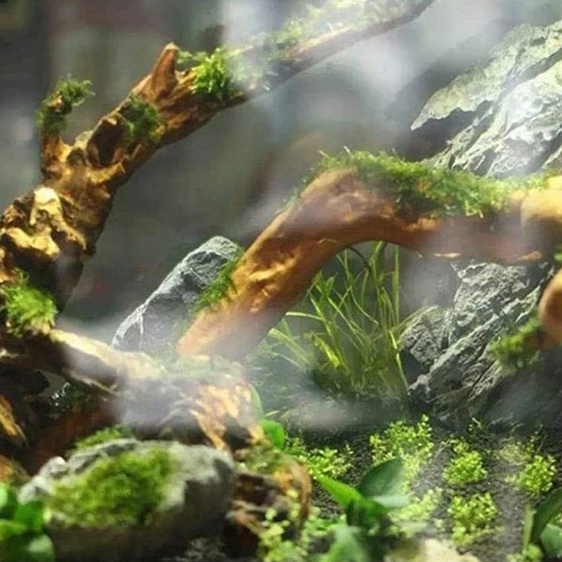 

A24I Large Natural Driftwood Branches Reptiles Aquarium Fish Tank Decoration Fish Tank Cave Hideout Wood Decor Driftwood