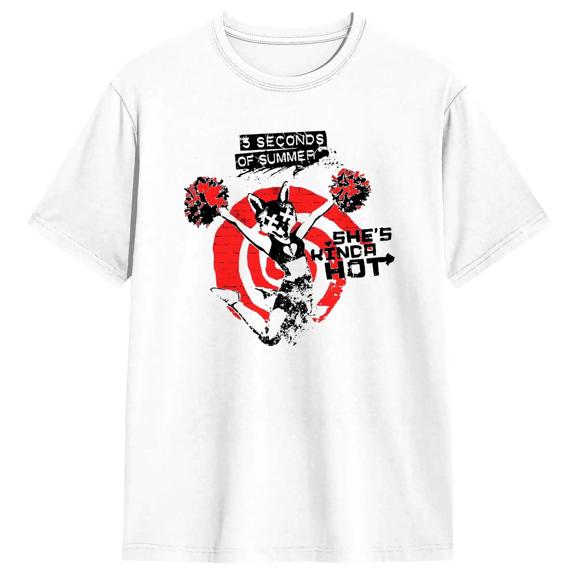 Camiseta de la banda S-Summer, camisetas de algodón puro Vintage de música Pop, camisetas de manga corta con cuello redondo, ropa clásica, 5 S-Seconds of S-Summer