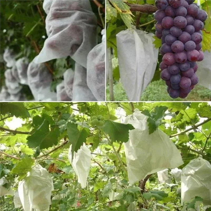 100Pcs Plant Covers Grape Protection Bags for Fruit Vegetable Grapes Mesh Bag Against Insect Pouch Waterproof Pest Control -Bird