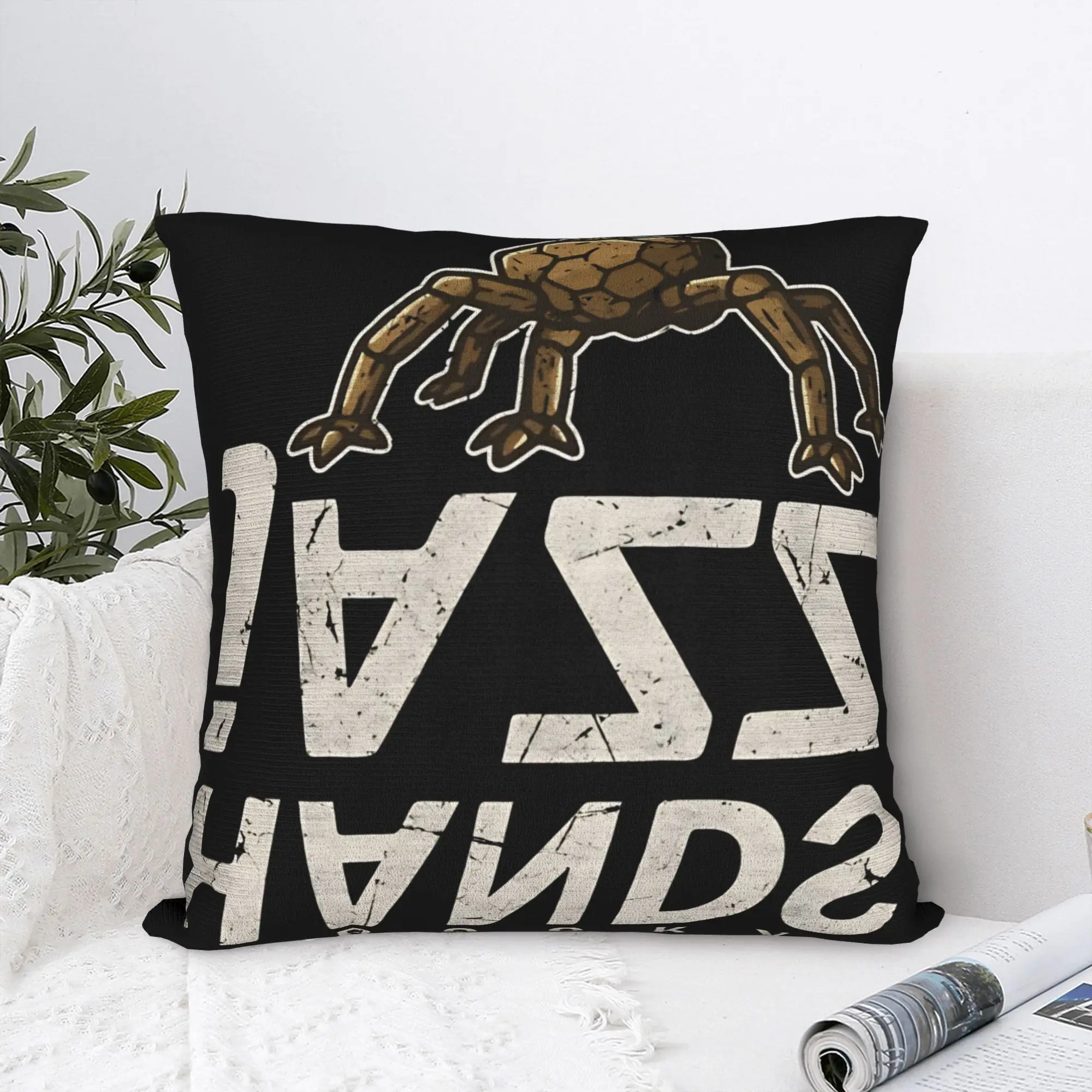 Project Hail Mary  Pillowcases  Cute Funny Pillow Case For Office Car Home Decor Square Pillow Cover