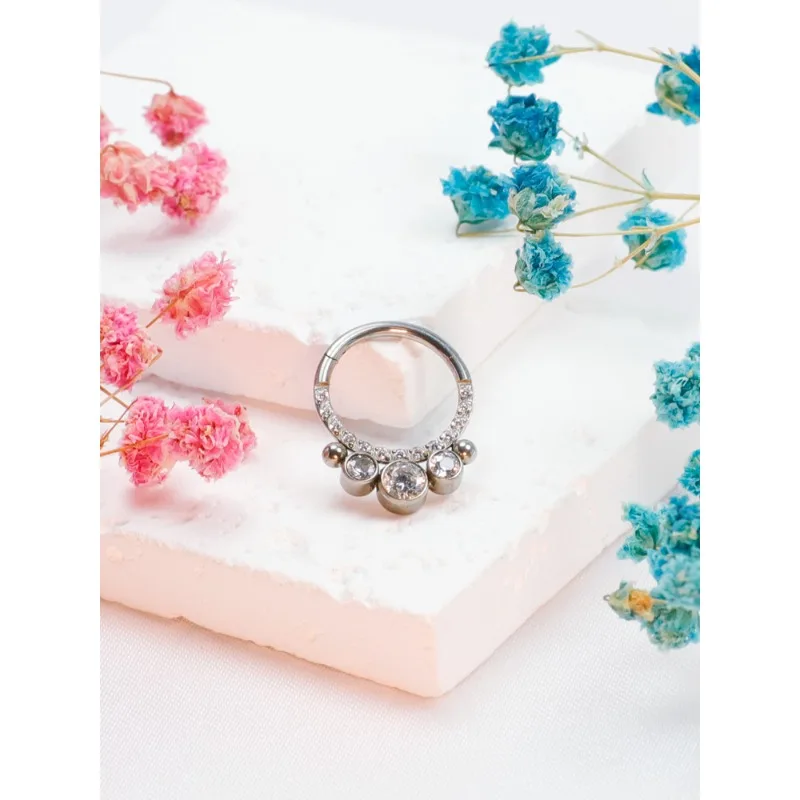 2/5pcs F136 Titanium Piercing Septum Antiallergic Zircon Nose Ring Tragus 16G Hinged Cartilage Earrings Ladies Body Jewelry