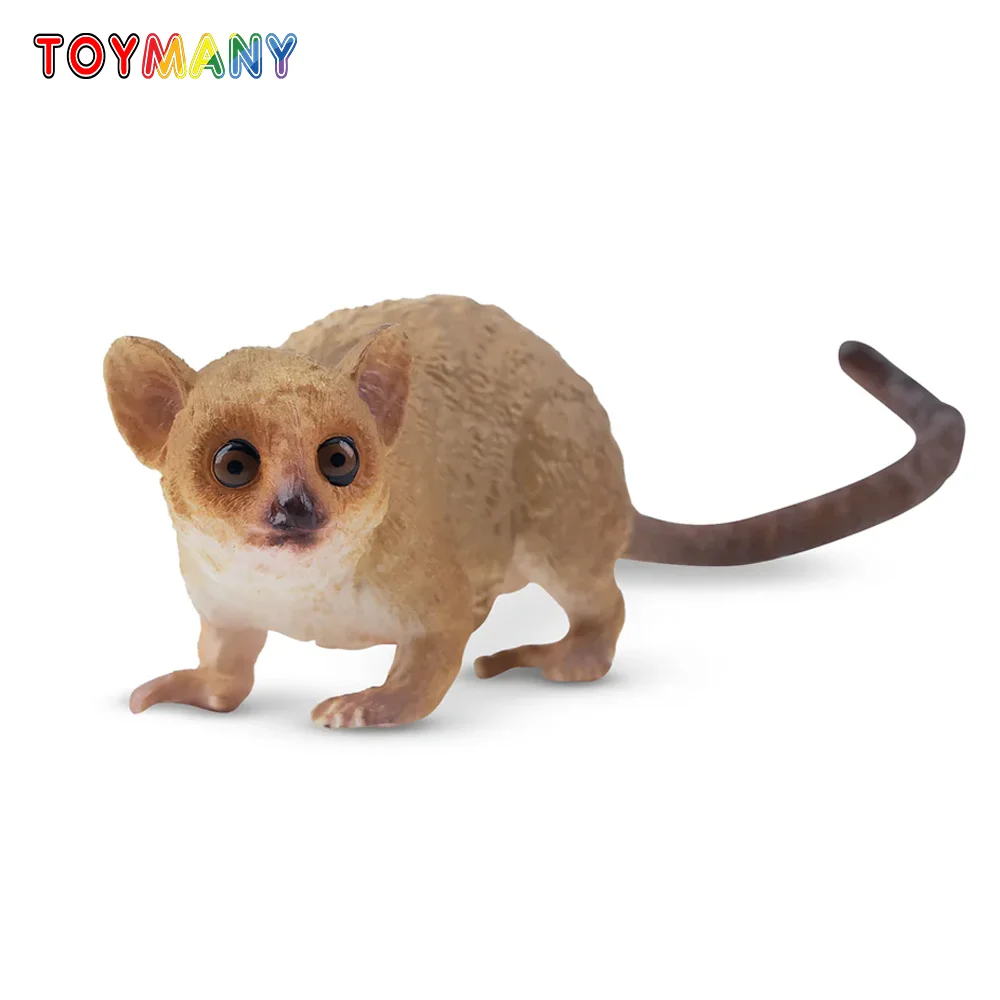 Toymany Simulation Madame Berthe's Mouse Lemur Madagascar Animal Model Toy Mini Figures Dolls Action Figurines Toy Children Gife