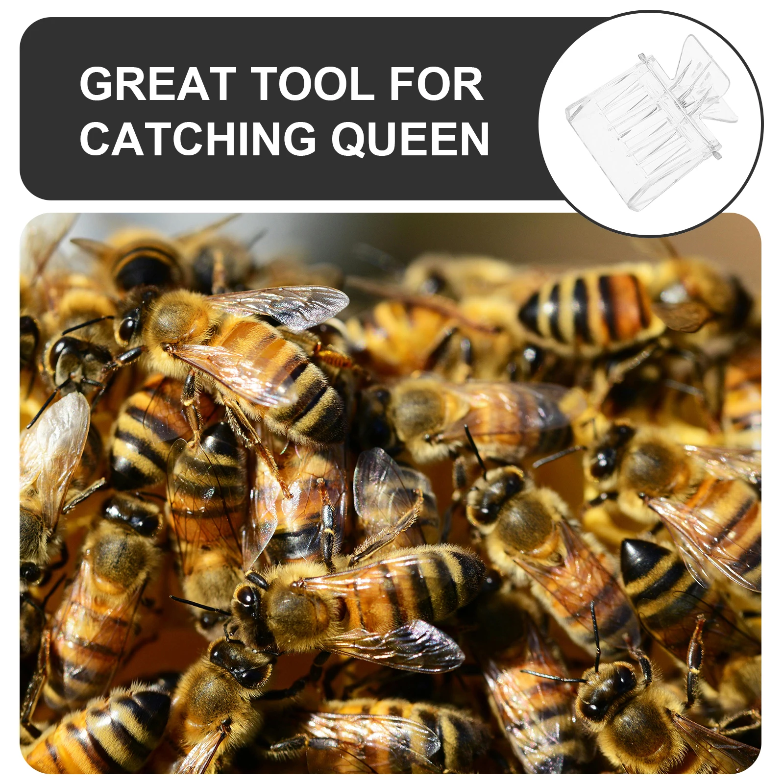 

5pcs Bee Catcher Queen Clip Transparent 6 Plastic Bee Queen Catcher 6x5 1x4 8cm Plastic Metal Beekeeping Tool Handy Equipment