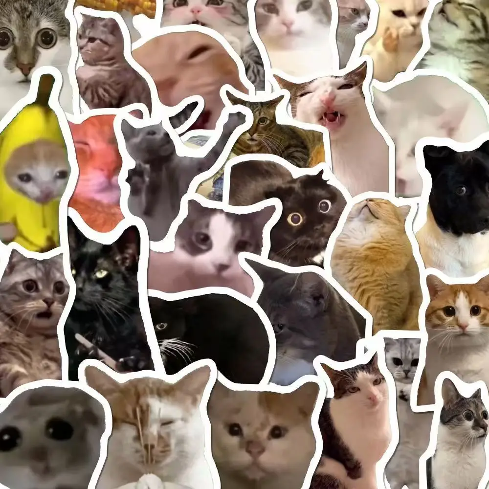 Funny Abstract Cat Meme Stickers, Instagram‑Style Silly Waterproof Decals for Notebook & Laptop DIY Decoration
