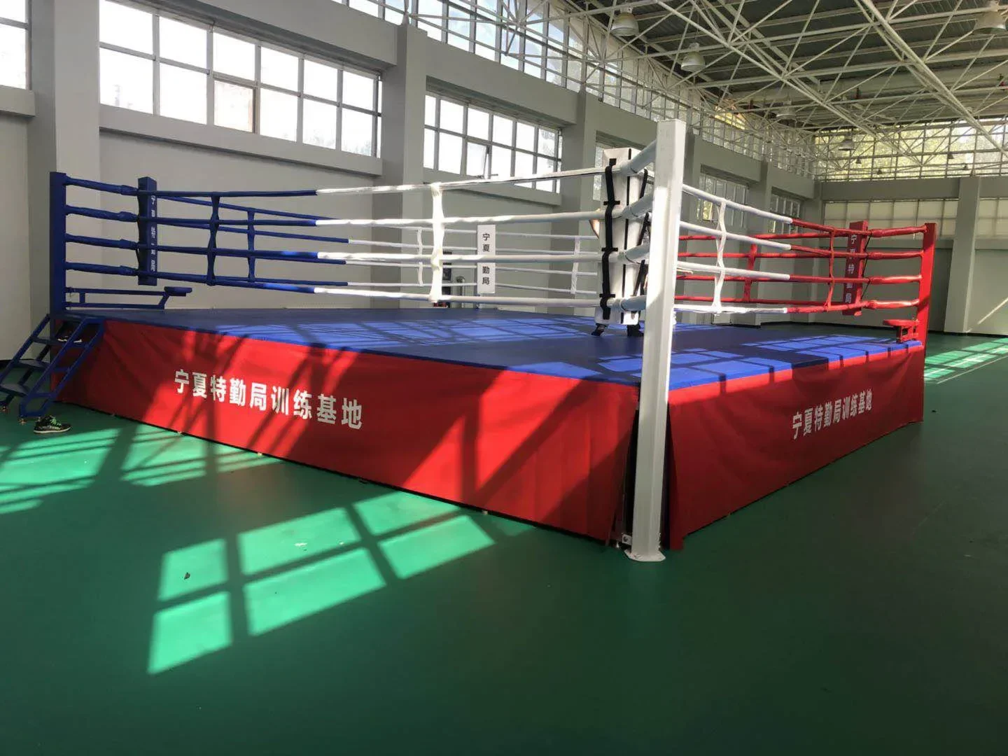 Backyard Wrestling Rings For Sale 14Ft Boxing Ring Pro Wrestling Ring