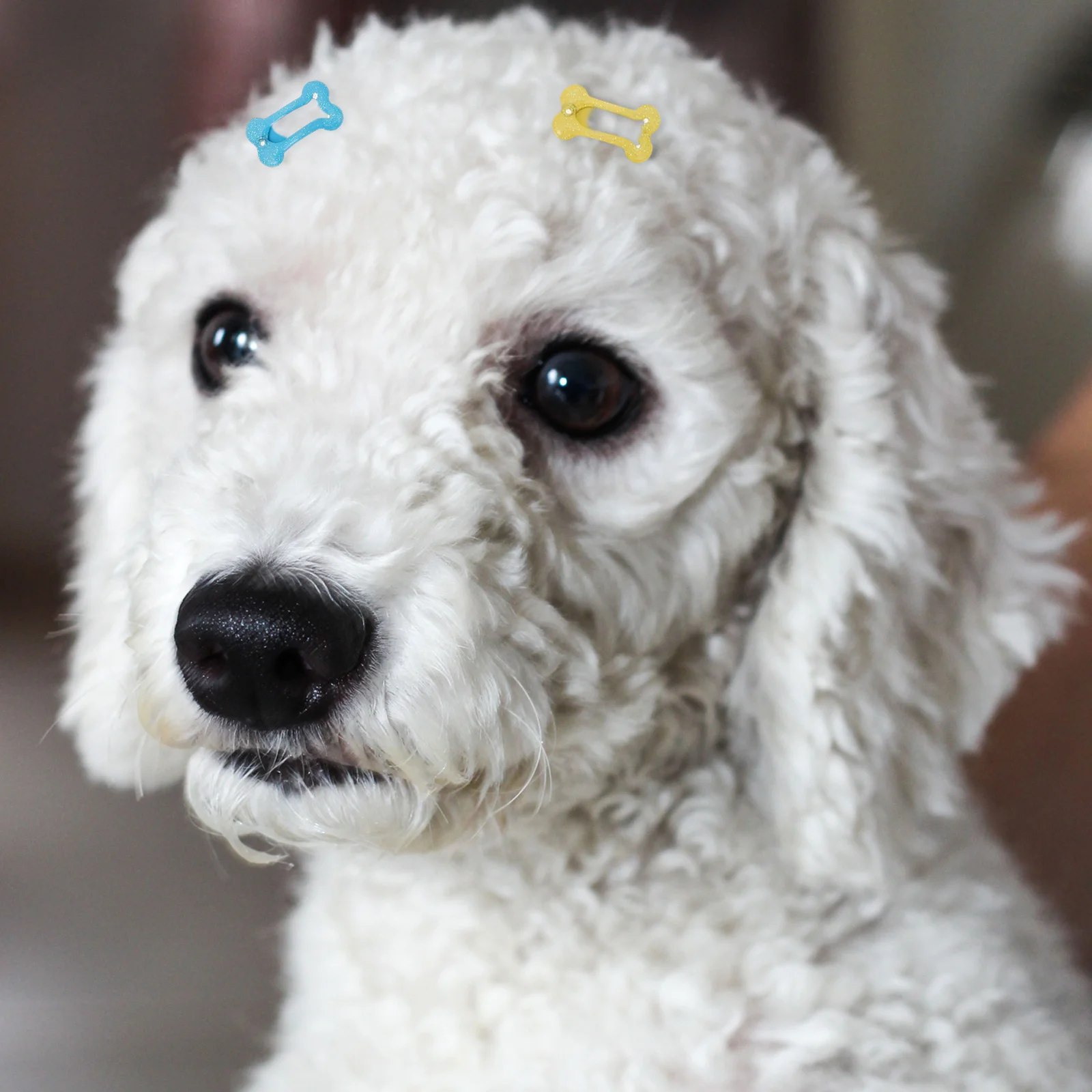 

15Pcs Dog Hairpins Bone Shaped Decorative Pet Hair Clips for Puppy Grooming Daily Wear Headwear Pet Bone Hairpins