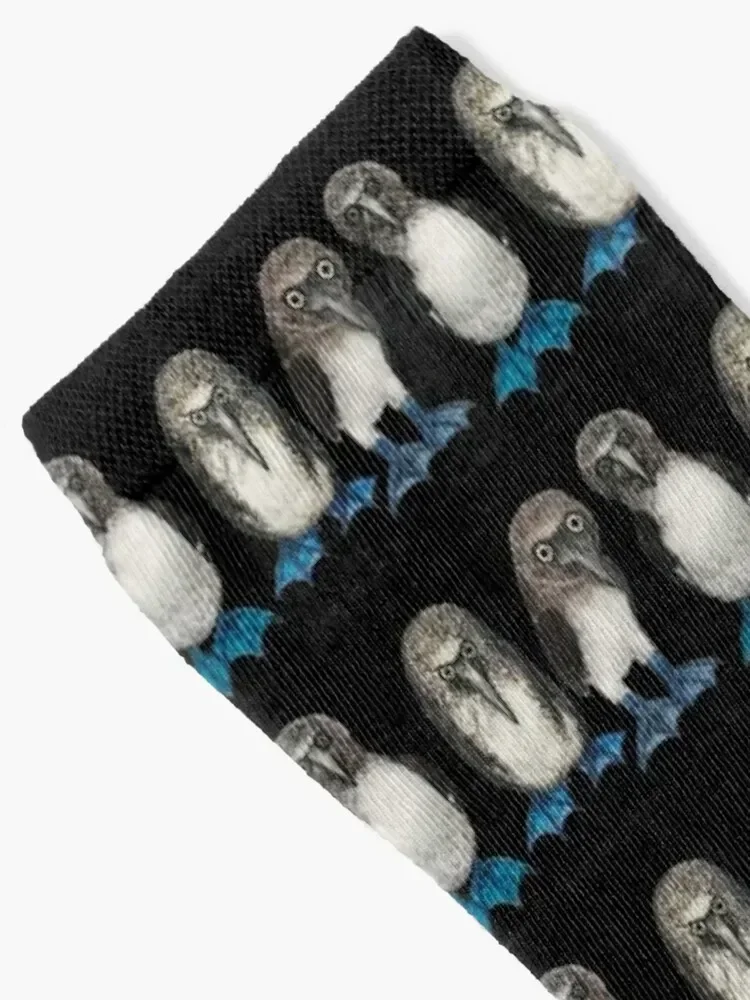 Bobby, Angry Bob the 3rd and Curious Bill the trio of Blue Footed Boobies on Blue Socks custom cotton Socks Woman Men's