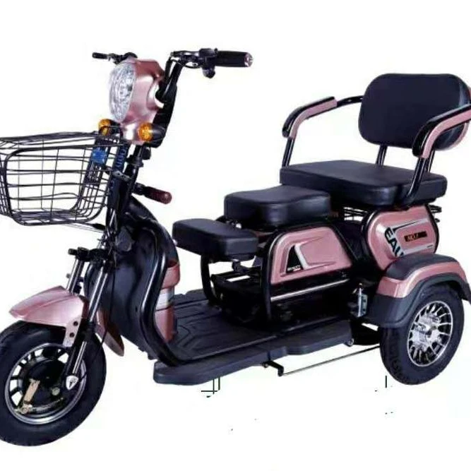 

Adult Folding Electric Tricycle with Child Seat and Elderly Leisure Electric Tricycle