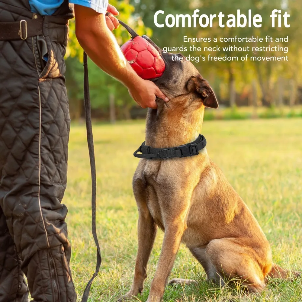 Thick Nylon Webbing Dog Strap Metal Quick Buckle Built-in Hand Grip Training Neck Band Wide Adjustable Band Neutral Solid