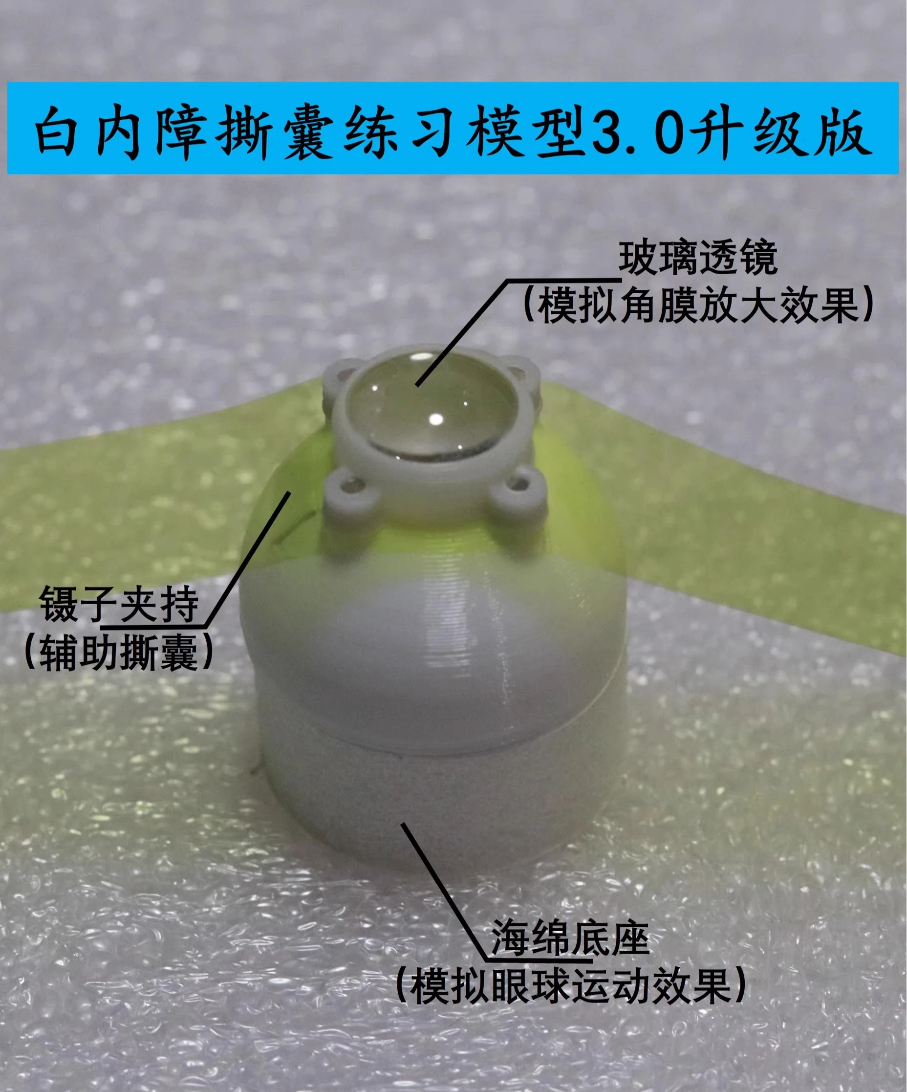 3.0 Ophthalmic Cataract Ultrasonic Emulsification Capsulorhexis Surgery Practice Model Ophthalmic Circular Tearing Capsule Tool
