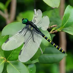 Simulation Dragonfly Mosquito Repellent Insect Model Mosquito Repellent Outdoor Hanging Ornaments Outdoor Garden Farm Repellen T