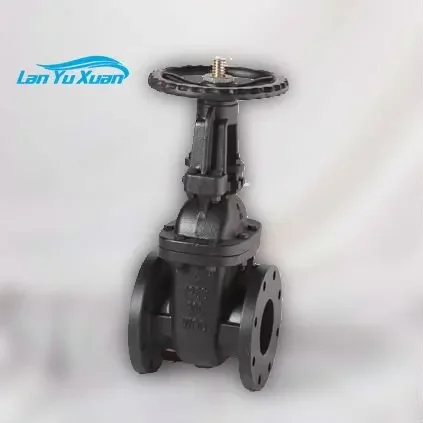 MSS SP-70 CLASS 125 OS&Y صمام بوابة حديدية مصبوب صمام صيني مباشرة #5