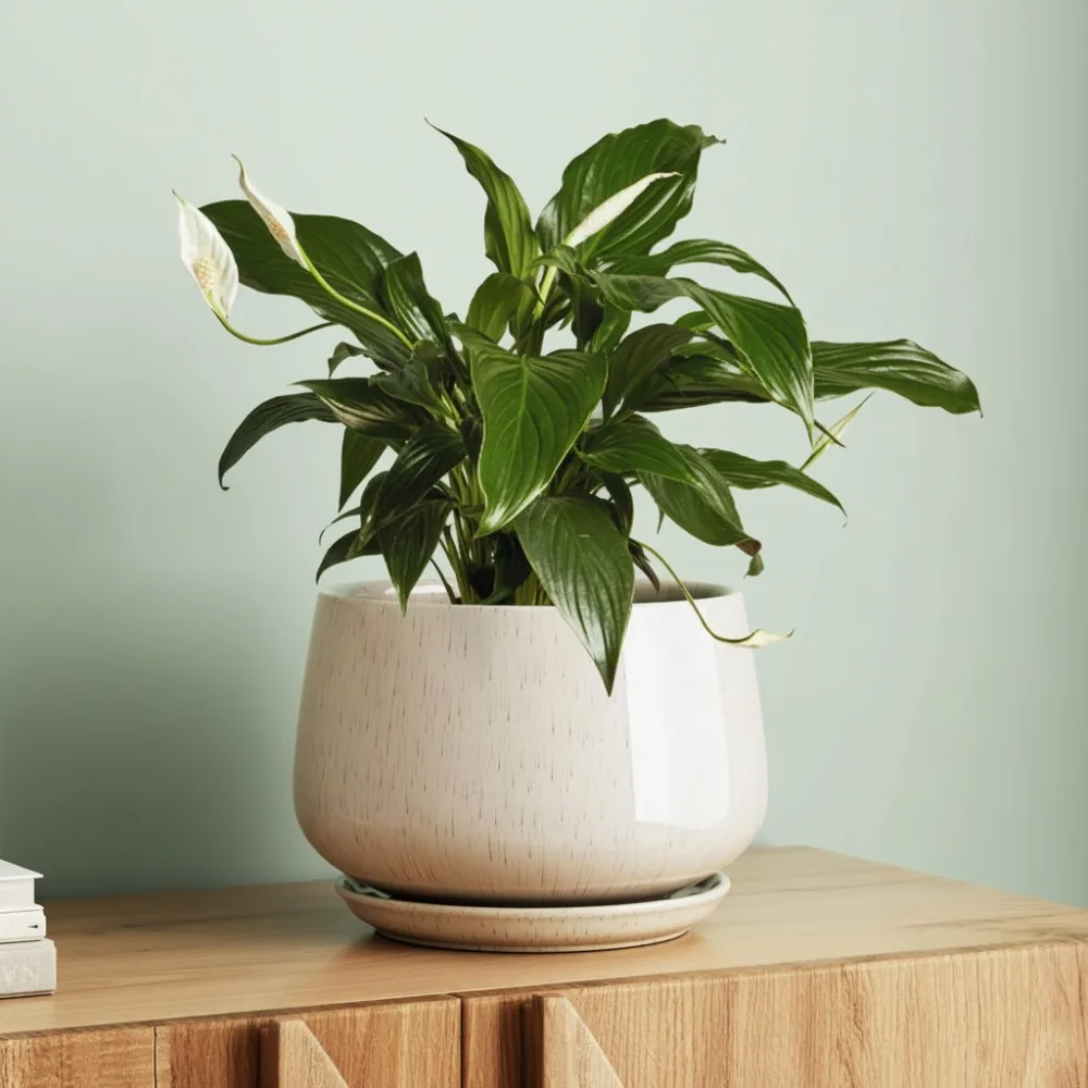 

10 Inch Ceramic Planter with Drainage Hole & Saucer - Durable Indoor Plant Pot for Modern Home Decor, Reactive Glaze Beige