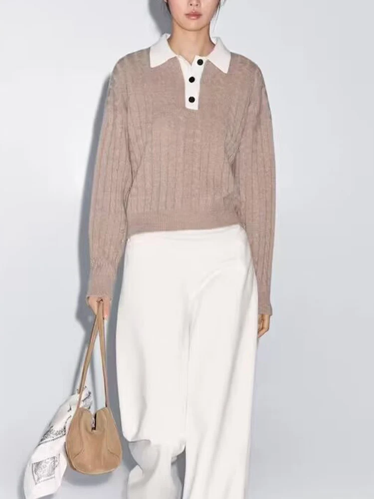 

Женский осенне-зимний новый повседневный простой пригородный свитер-поло контрастного цвета с длинными рукавами